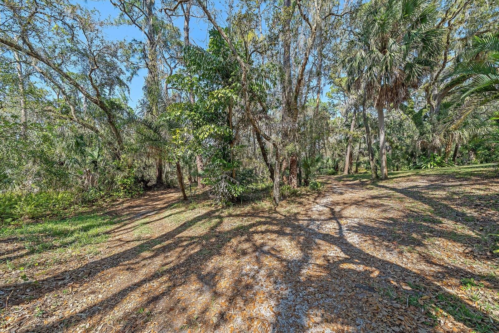 4674 Hidden River Rd Property Photo 30