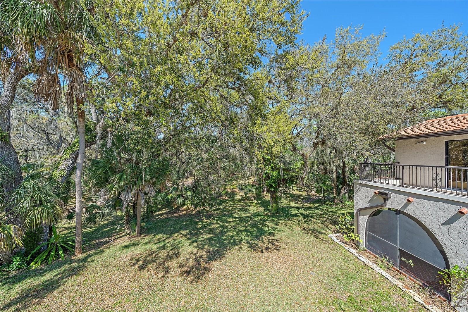 4674 Hidden River Rd Property Photo 88