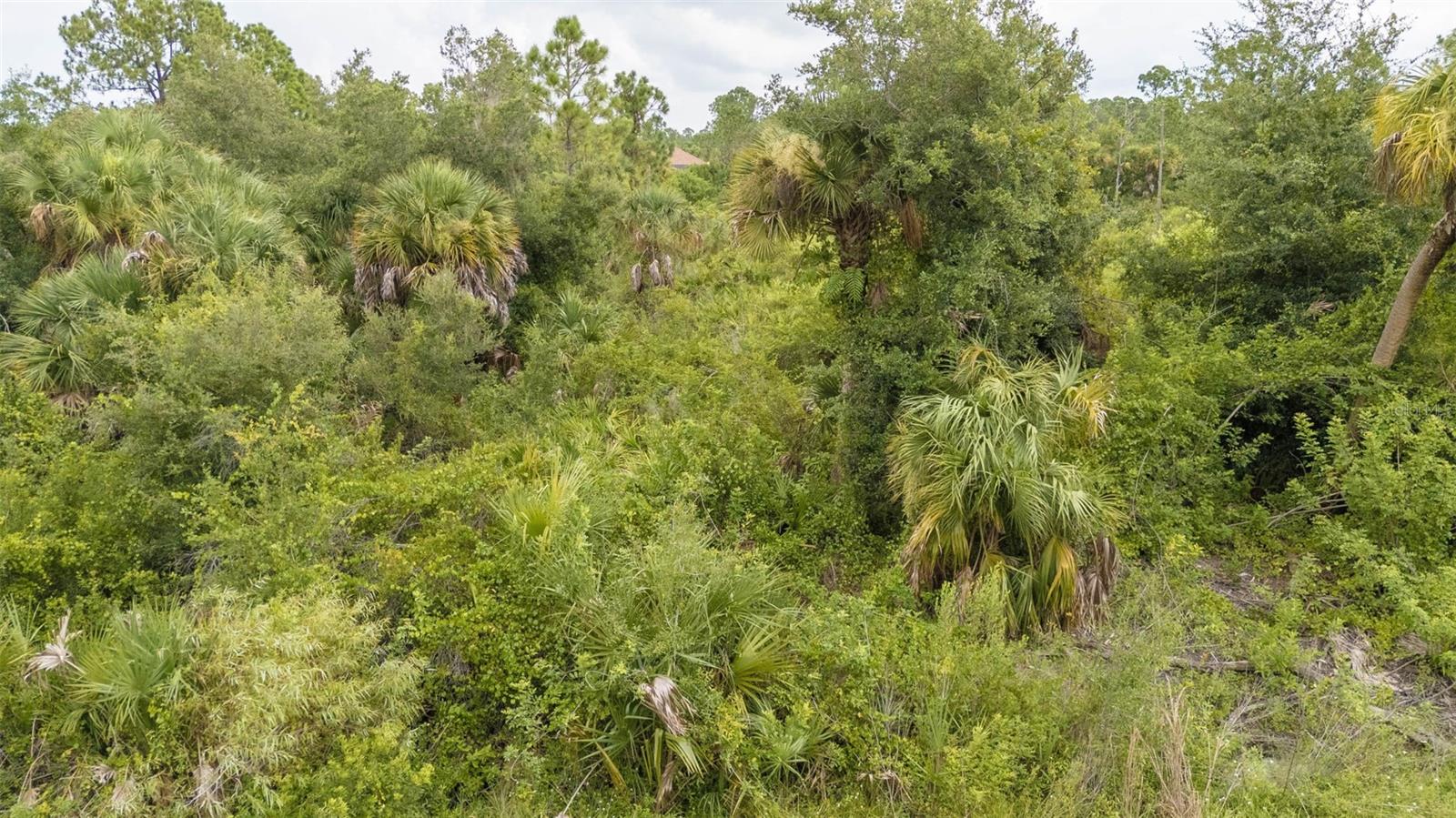 12132 Kraft Ave Property Photo 21