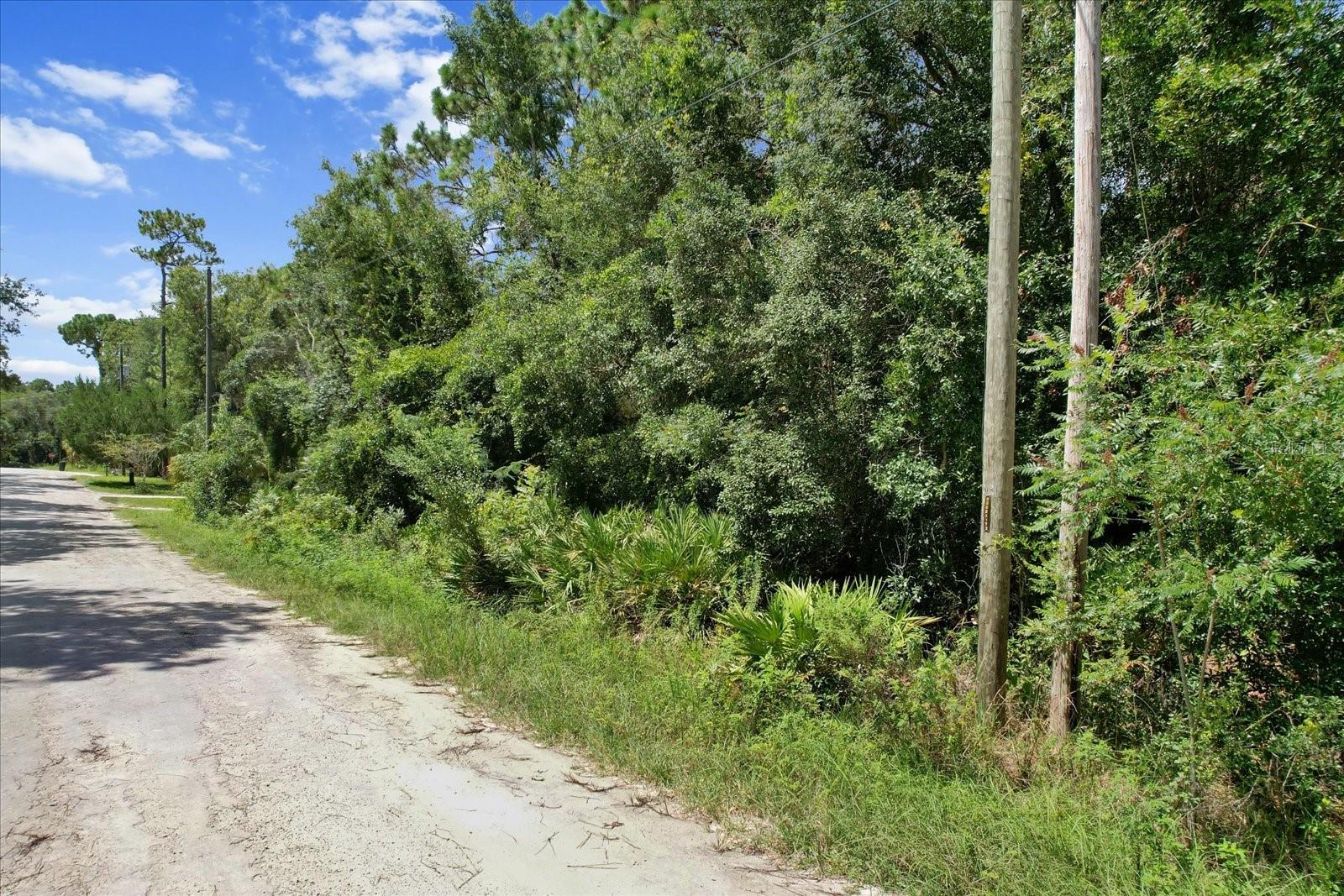 1420 S Highcliff Pt Property Photo 8