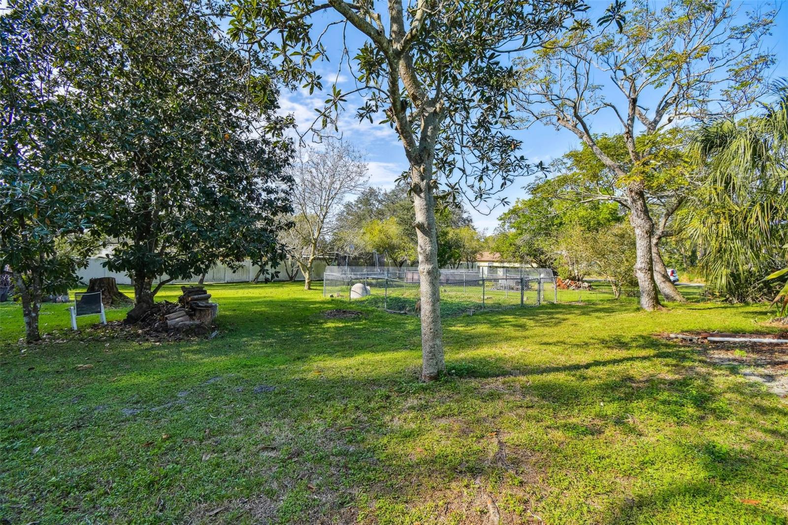 4223 Us Highway 19 Property Photo 18