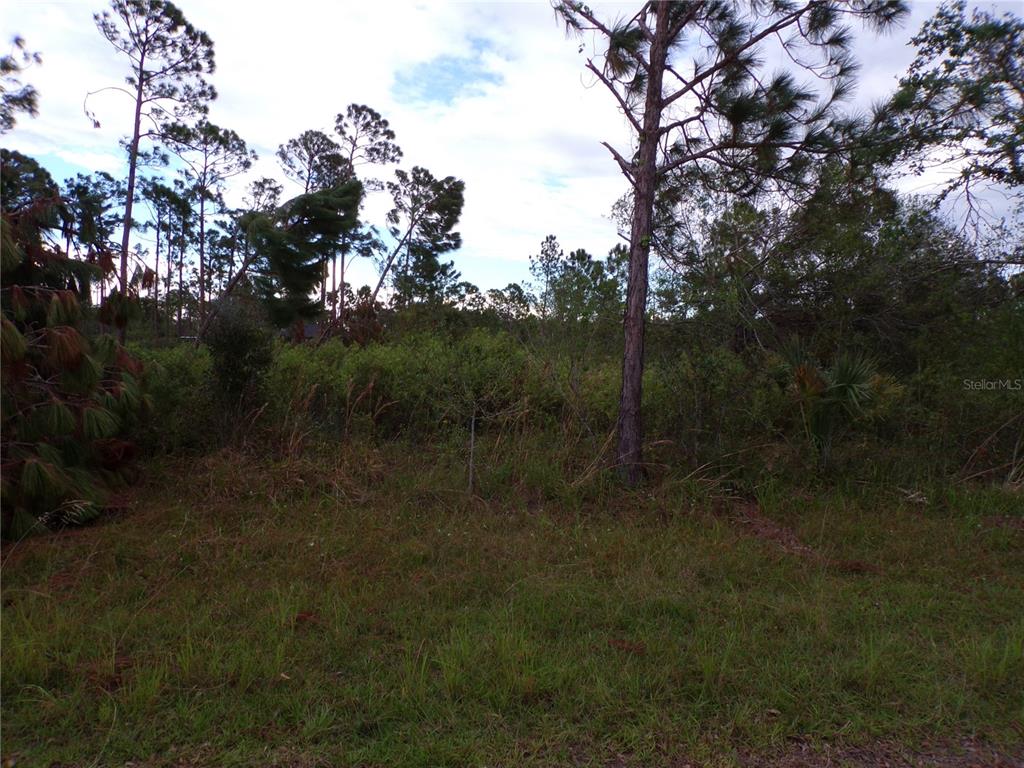 442 Lackland St Property Photo 4