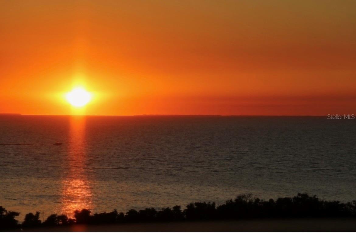 3191 Matecumbe Key Rd #701 Property Photo 10