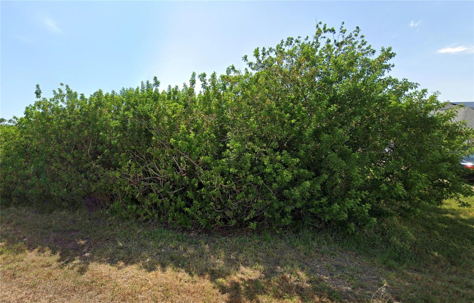 9263 Key West St Property Photo 16