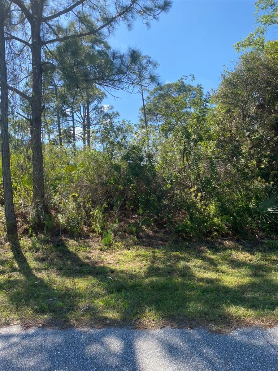 3261 Callisto St Property Photo 1