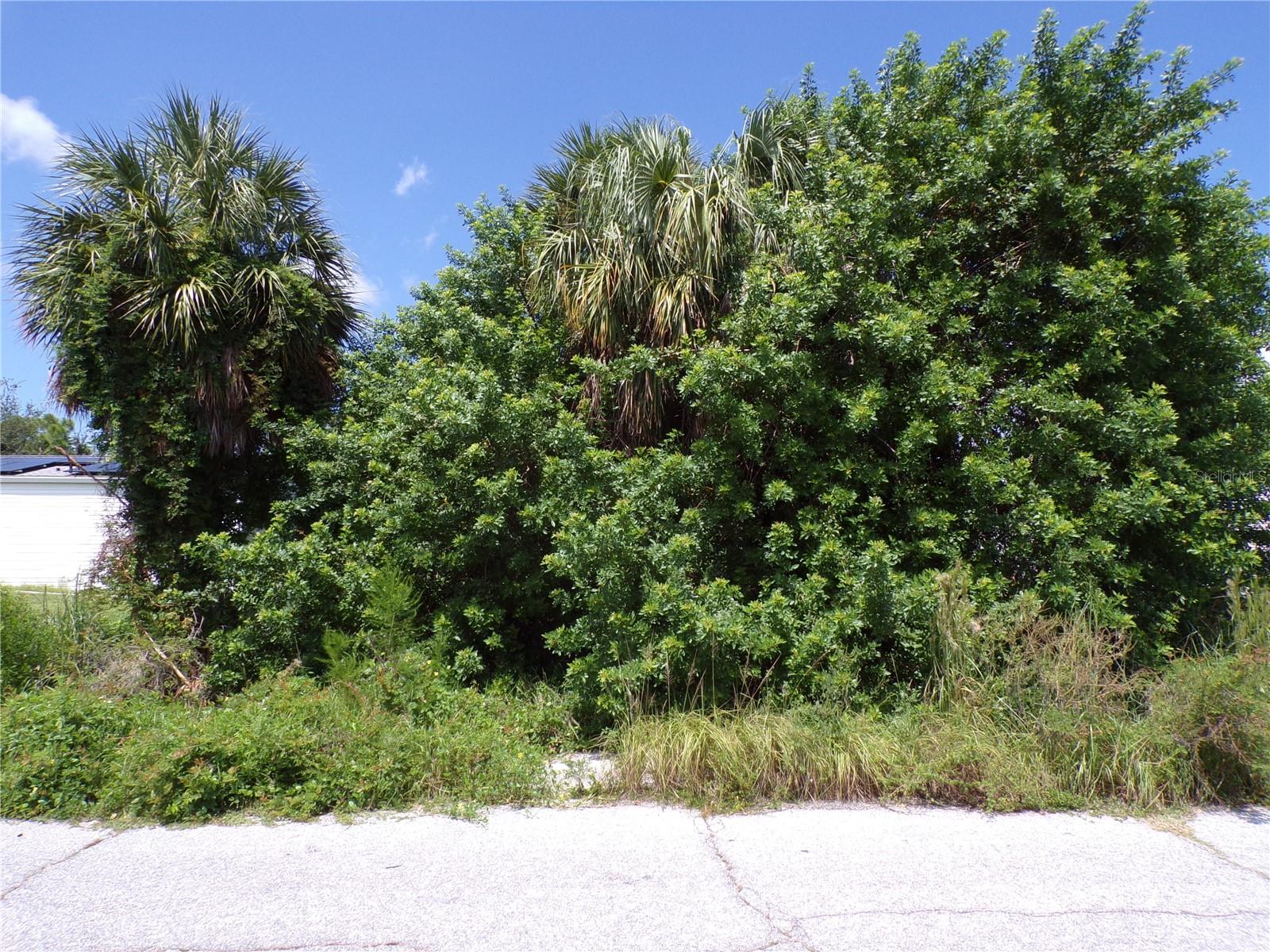 2423 Sunshine Blvd Property Photo 1