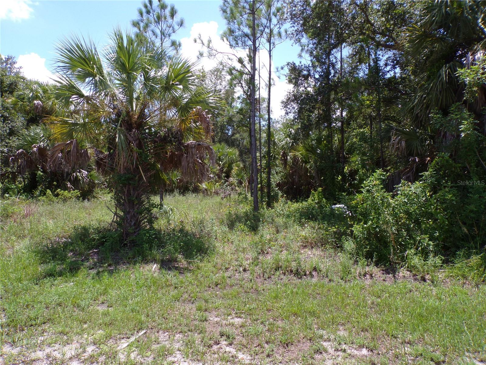 19143 Roosevelt Ave Property Photo 3