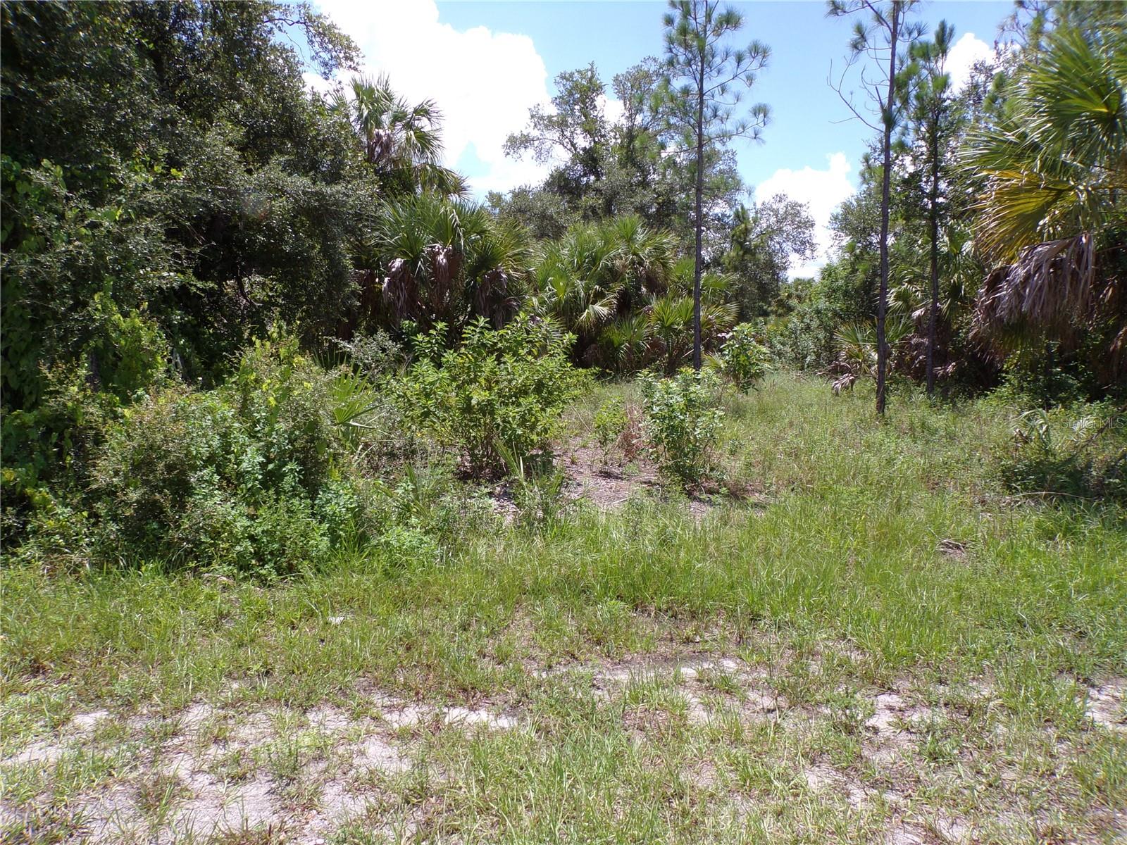 19143 Roosevelt Ave Property Photo 5
