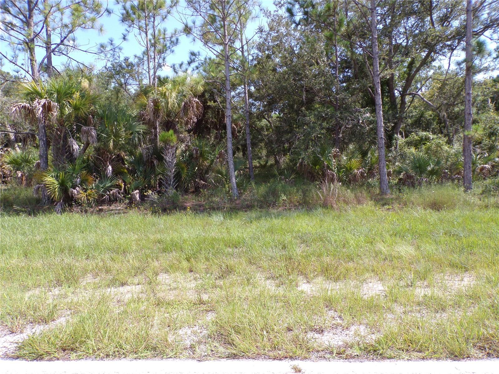 17039 Wintergarden Ave Property Photo 2