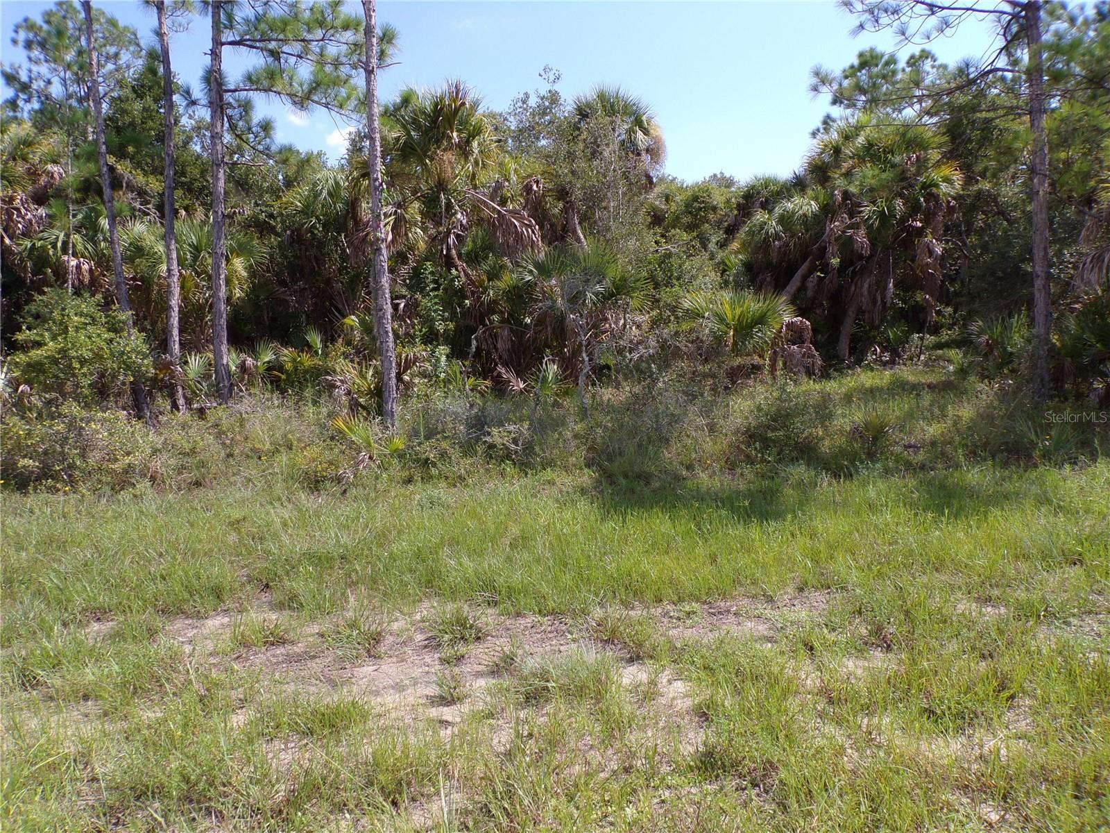 17039 Wintergarden Ave Property Photo 5