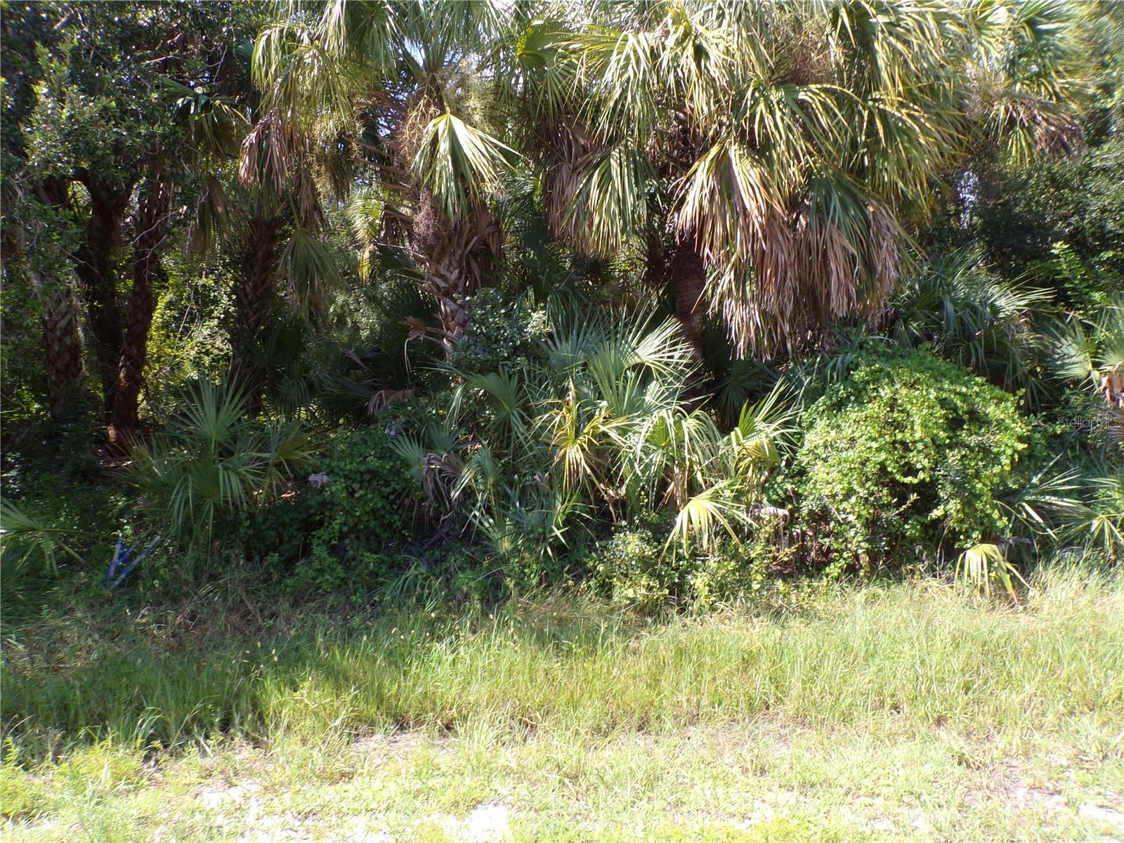 17340 Poston Ave Property Photo 5