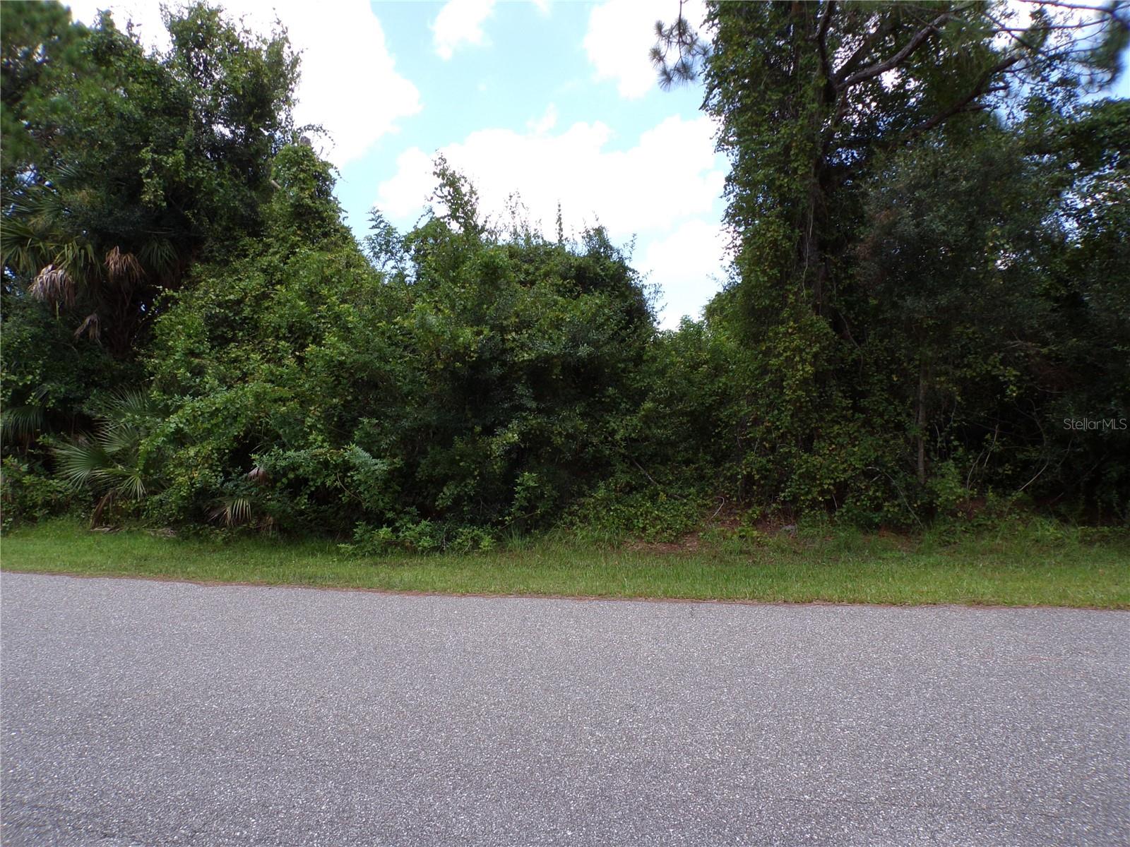 Embassy Rd Property Photo 5