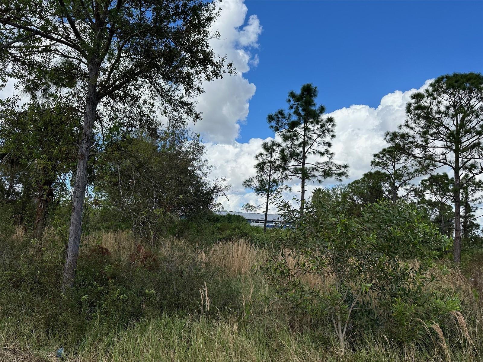 12069 & 12073 Borax Ave Property Photo 2