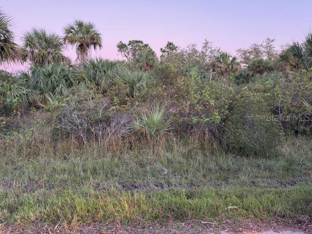2106 Rickover St Property Photo 3