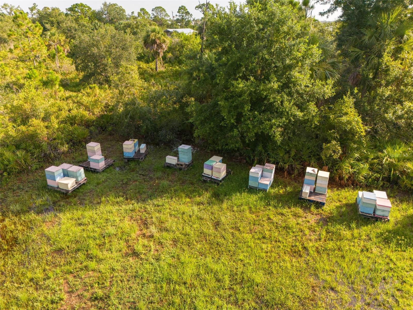 2925 Vance Ter Property Photo 10
