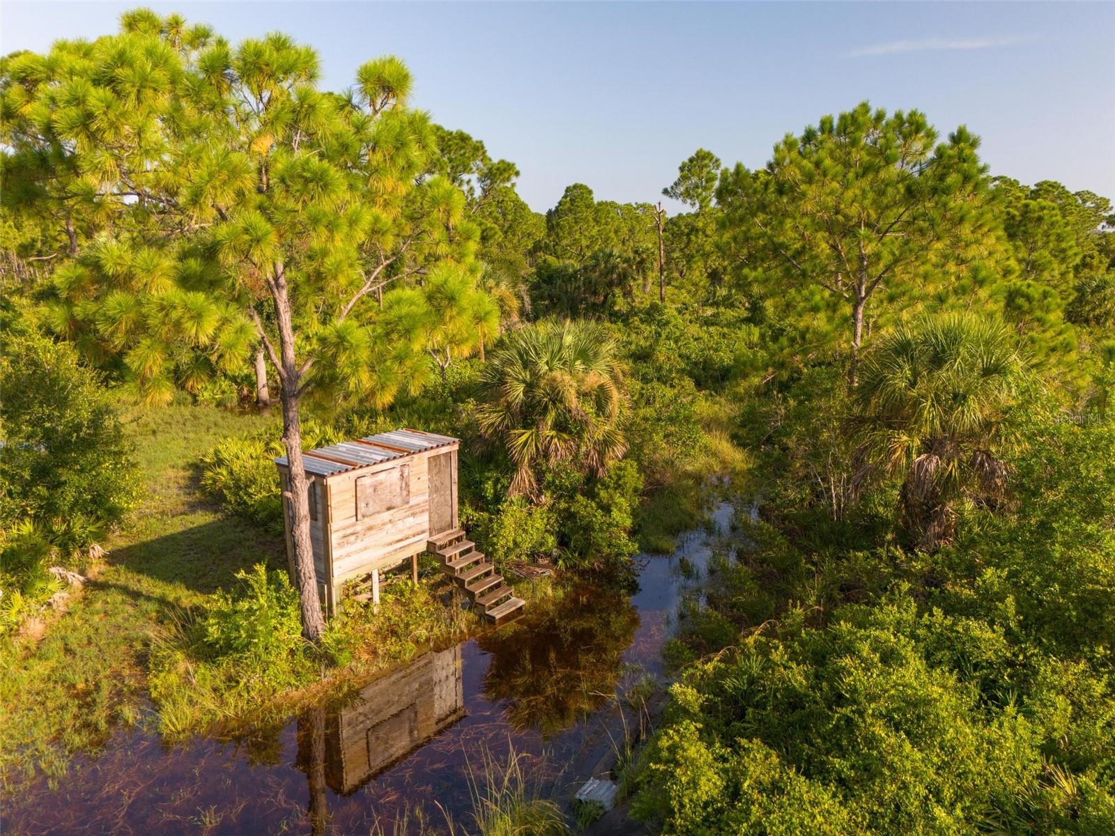 2925 Vance Ter Property Photo 13
