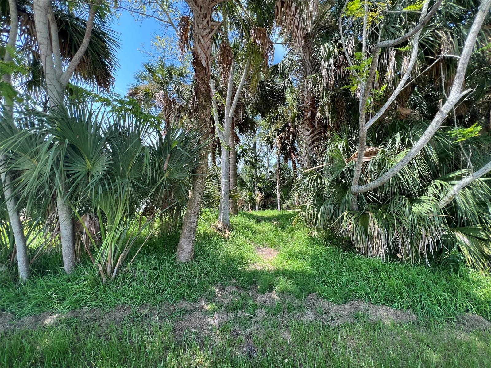 111 Cimmaron Dr Property Photo 6