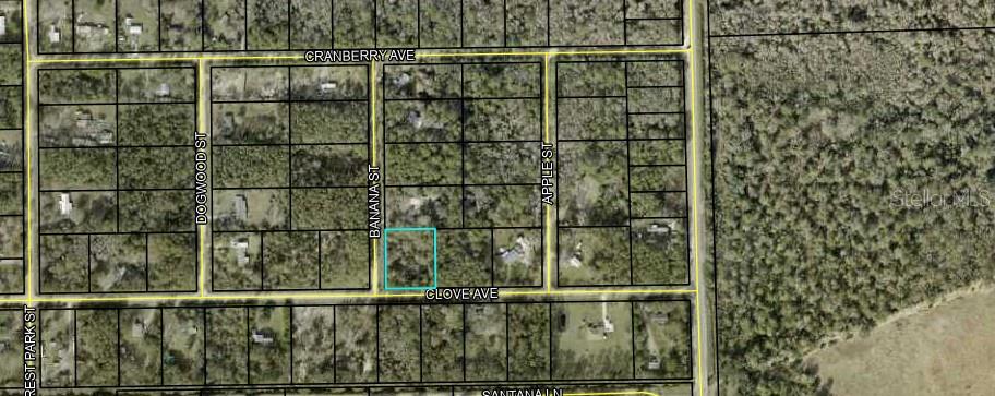 3686 Clove Ave Property Photo 3