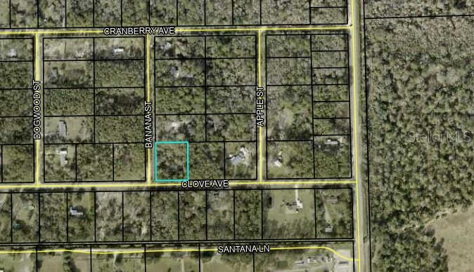 3686 Clove Ave Property Photo 4
