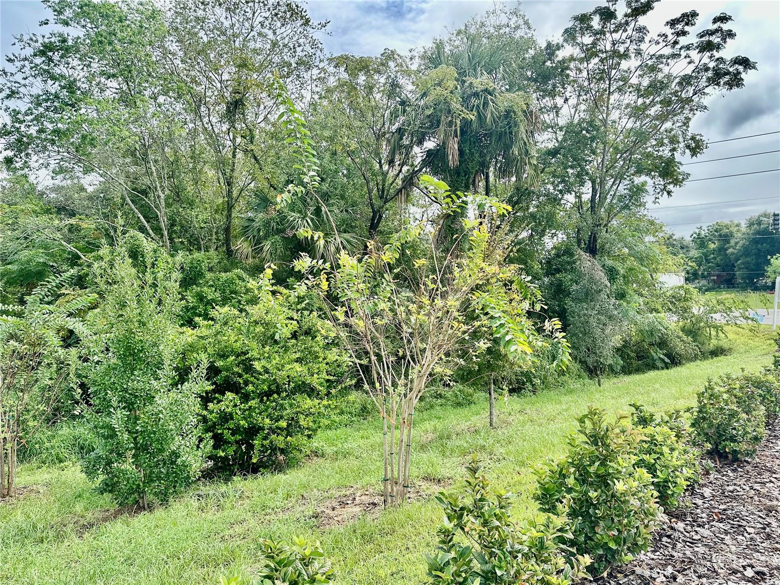 1250 Ocoee Apopka Rd Property Photo 13
