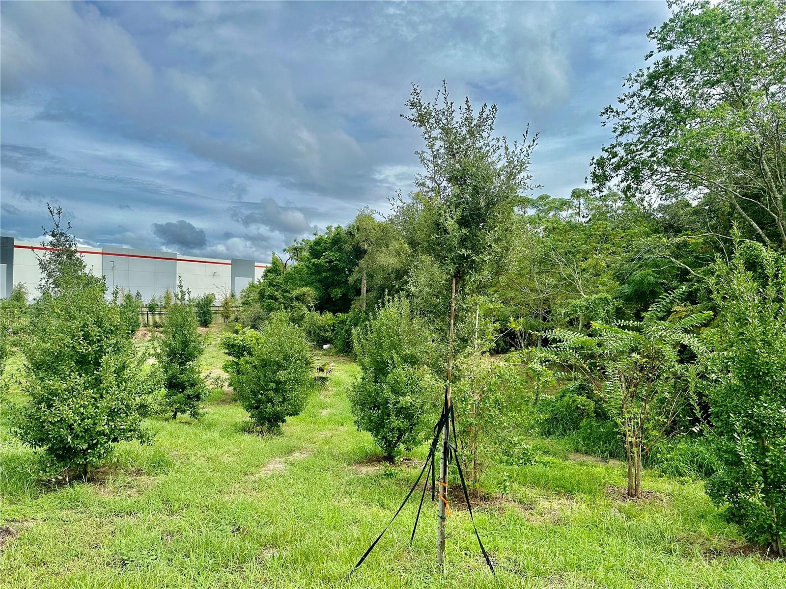 1250 Ocoee Apopka Rd Property Photo 16
