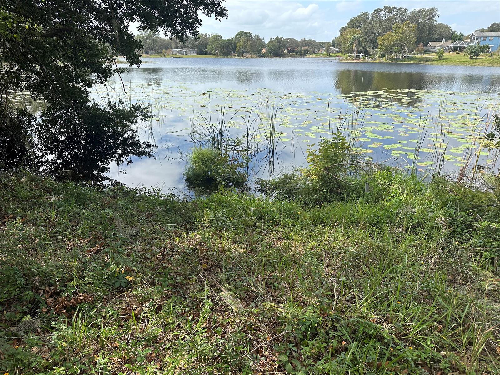 Luana Dr Property Photo
