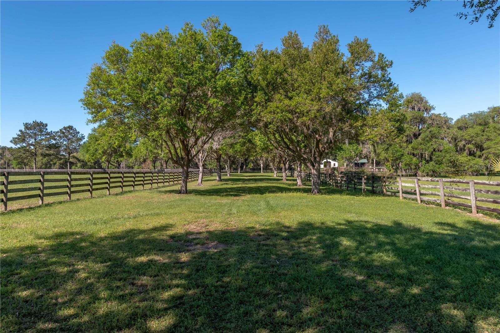 12275 W Highway 318 Property Photo 18
