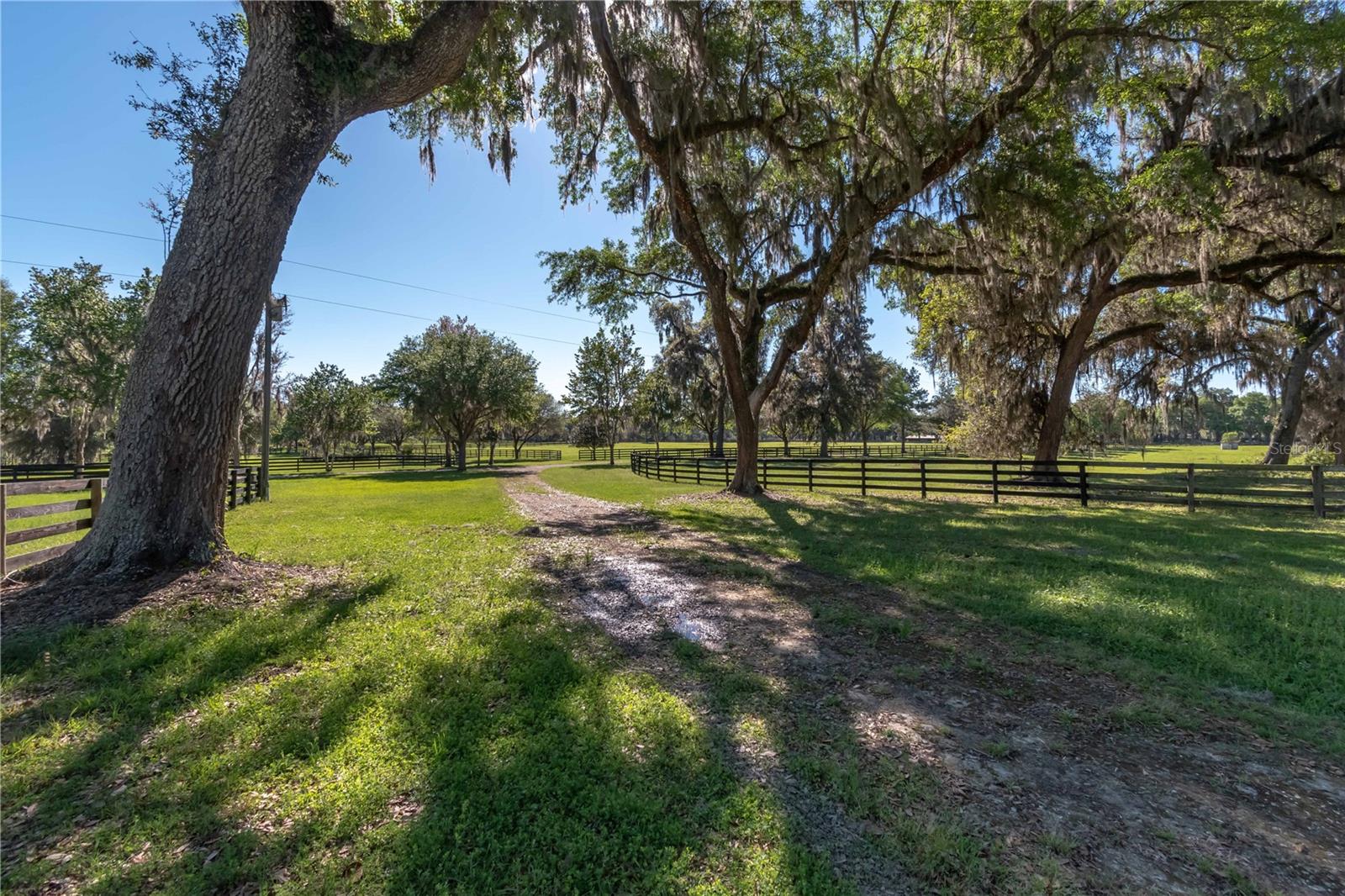 12275 W Highway 318 Property Photo 33