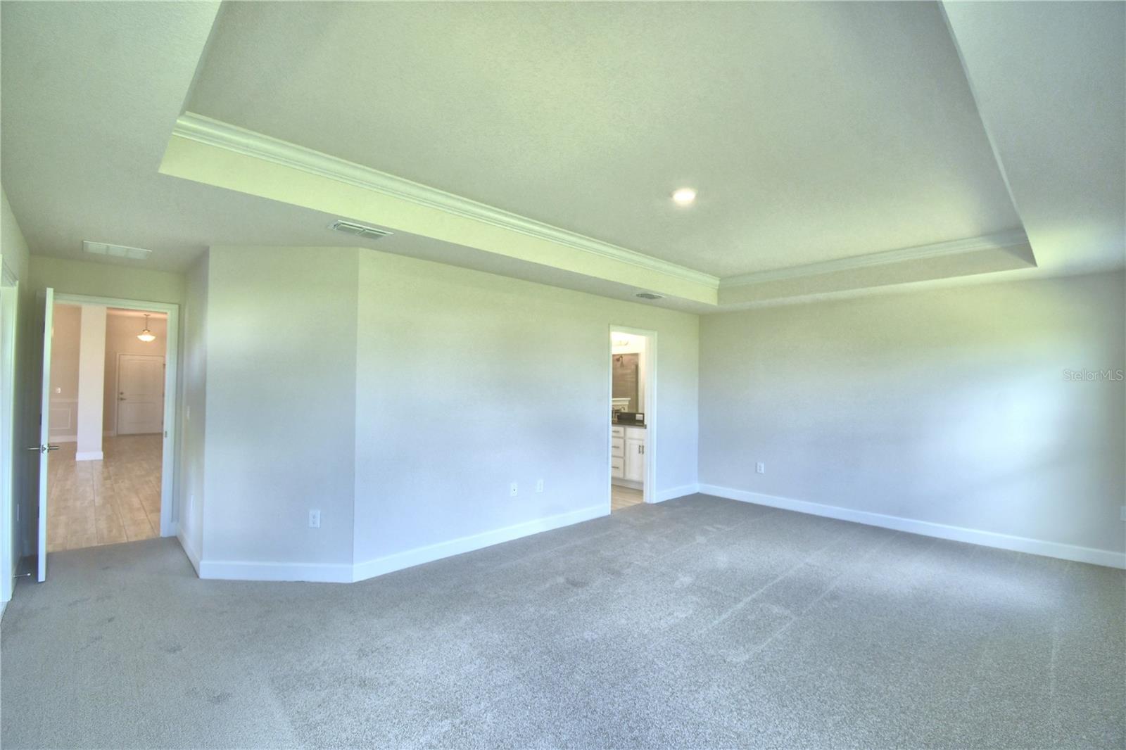 4926 Vue Delac Pass Property Photo 16