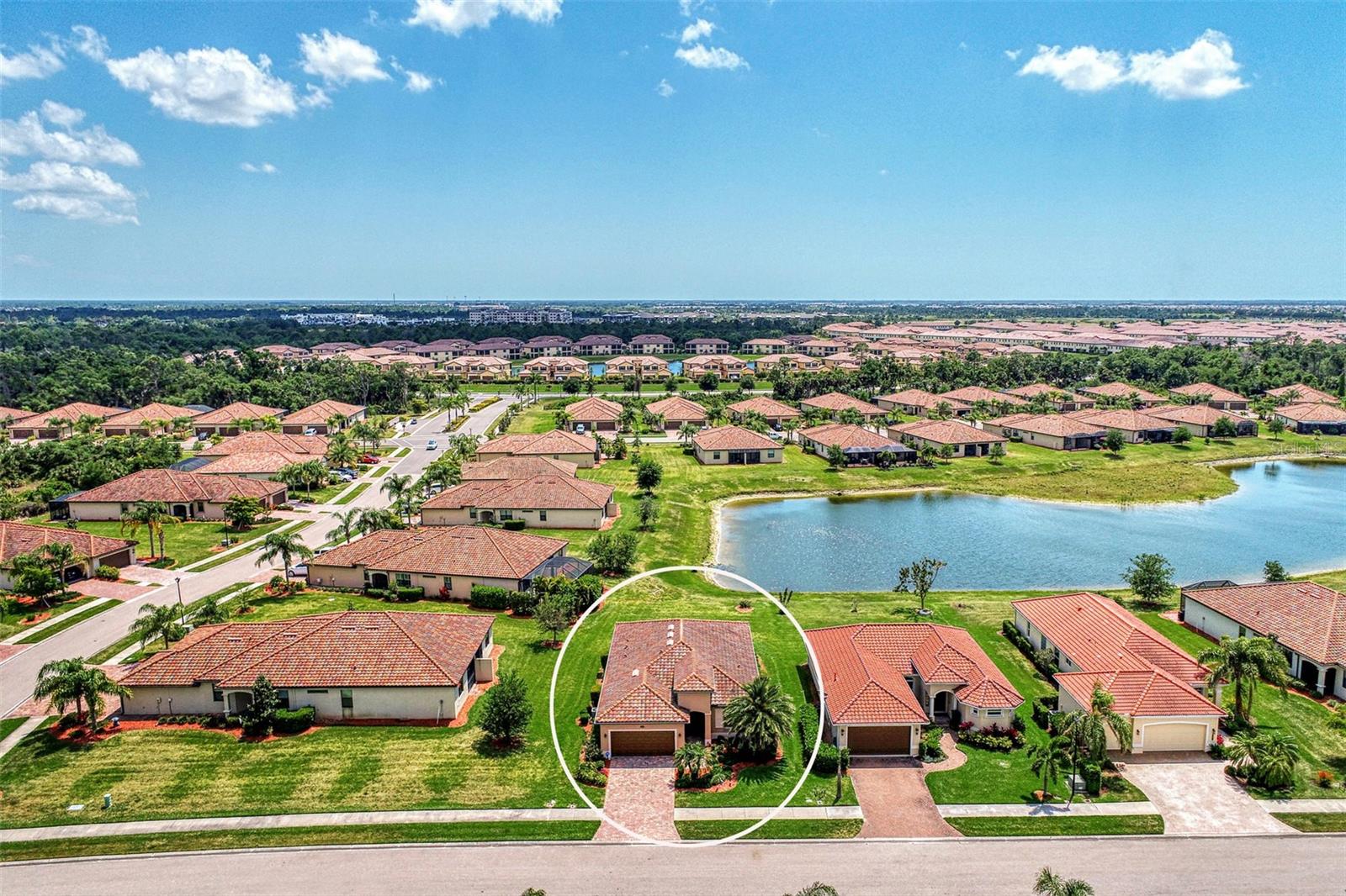 12536 Felice Dr Property Photo 4