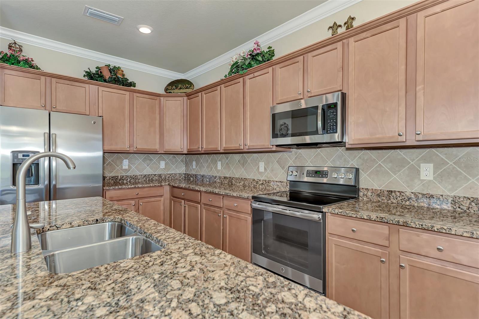 12536 Felice Dr Property Photo 26