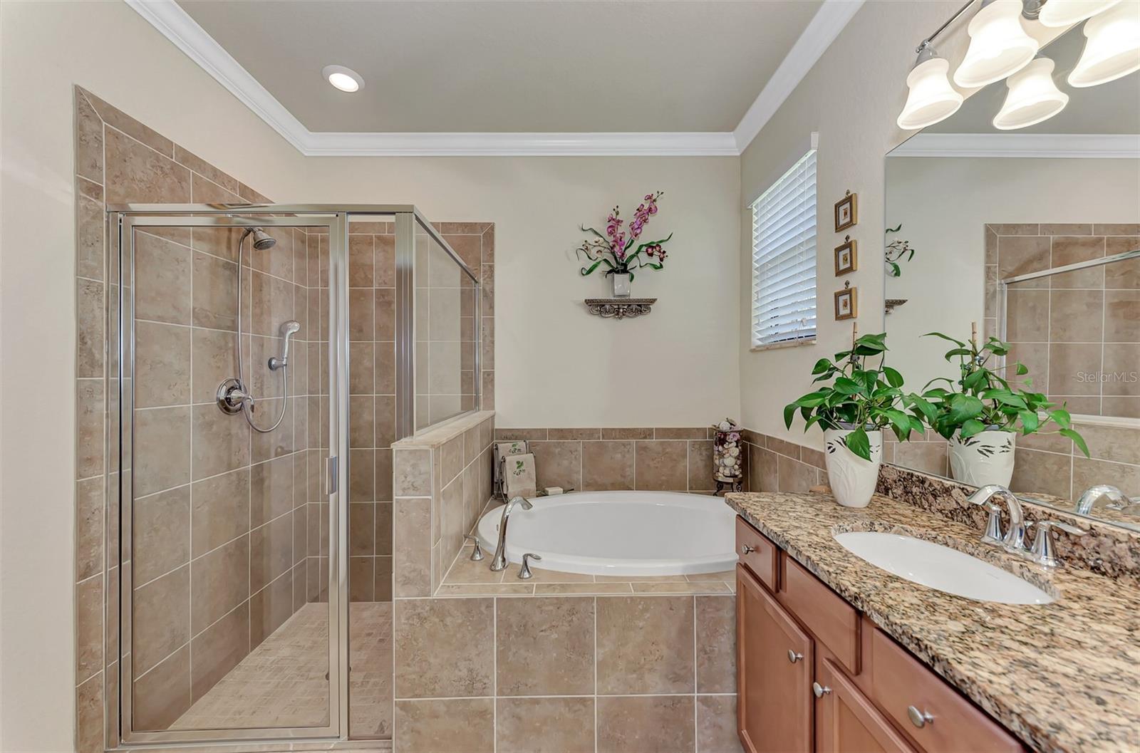12536 Felice Dr Property Photo 34