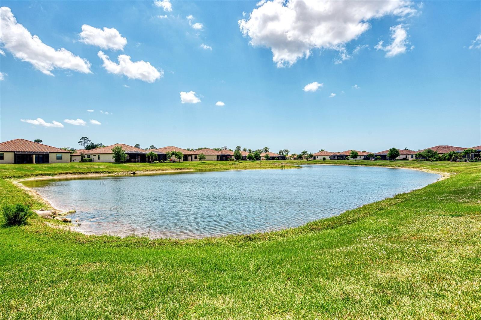 12536 Felice Dr Property Photo 47