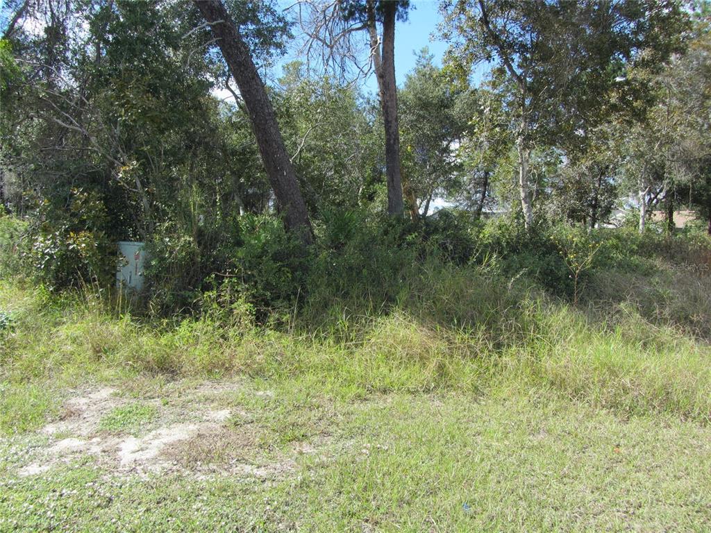 1684 Catalina Blvd Property Photo