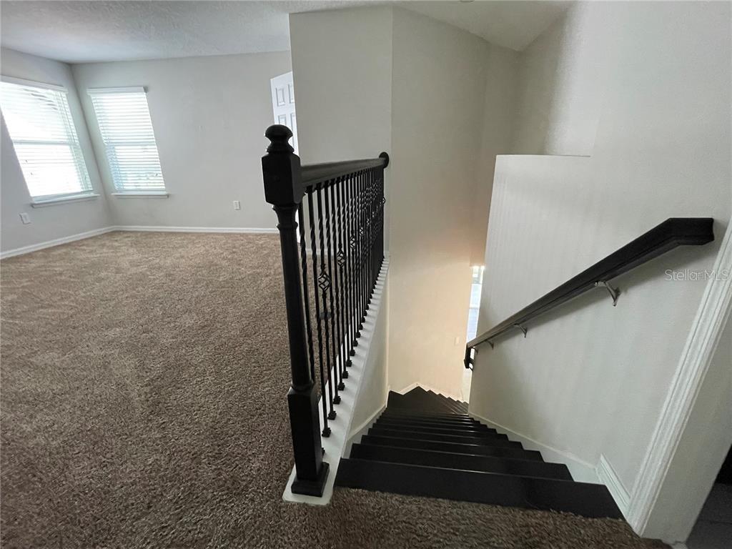 14154 Dove Hollow Dr Property Photo 19