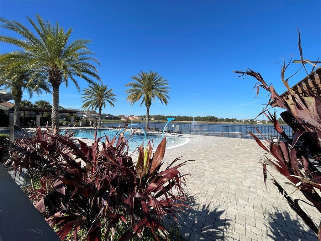 14154 Dove Hollow Dr Property Photo 40