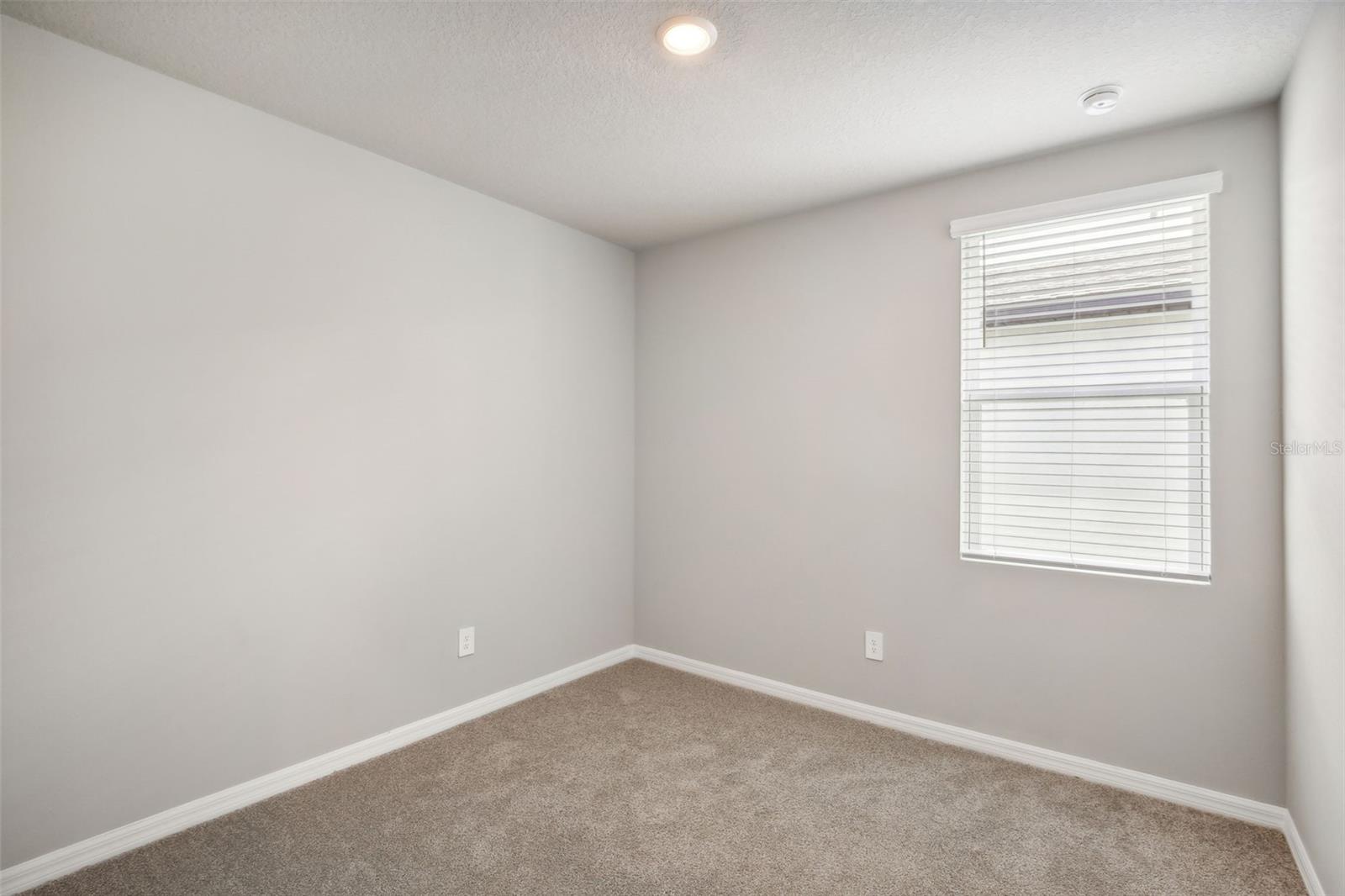 3716 Radiant Mountain Dr Property Photo 15