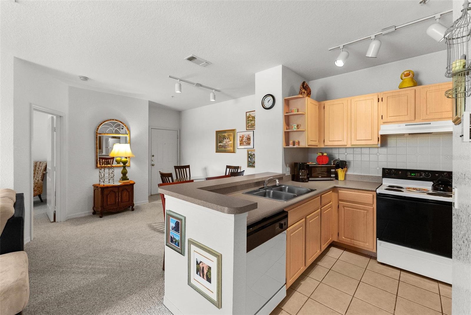 8810 Dunes Ct #203 Property Photo 15