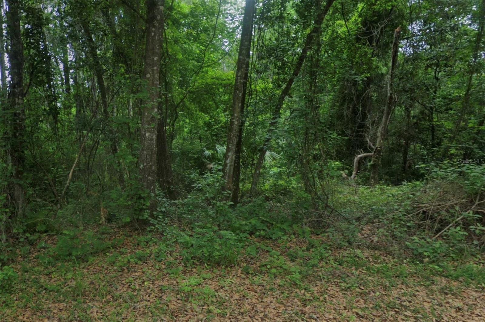 102 Ridgeline Ave Property Photo 3