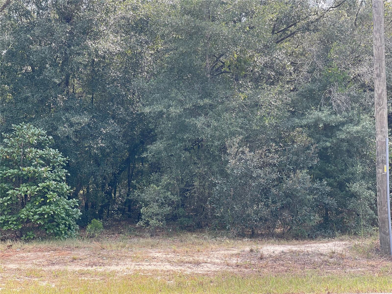Lot 6 - 00 Sw Green Bay Dr Property Photo 2