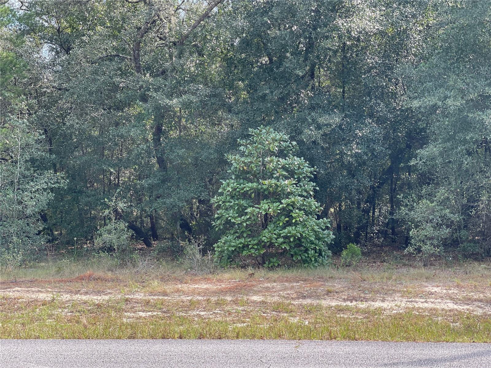 Lot 6 - 00 Sw Green Bay Dr Property Photo 3