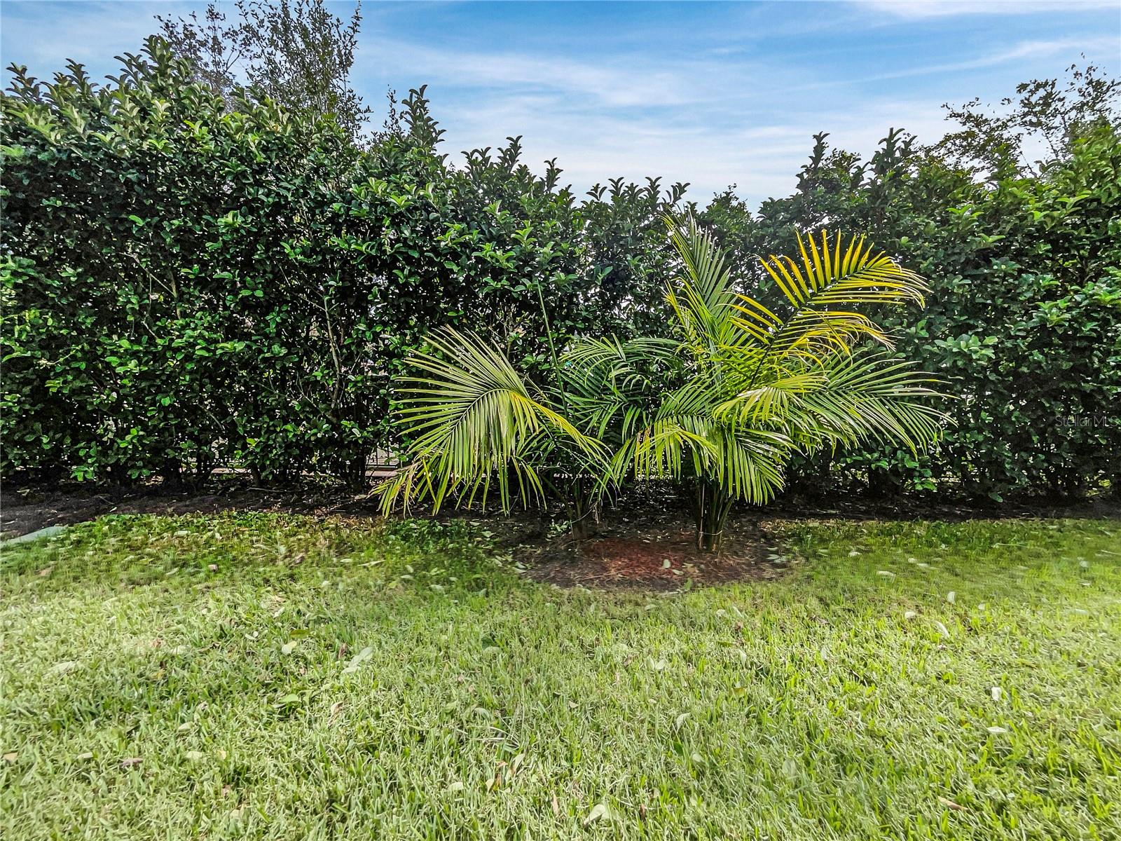 7615 Campus Cv Property Photo 23