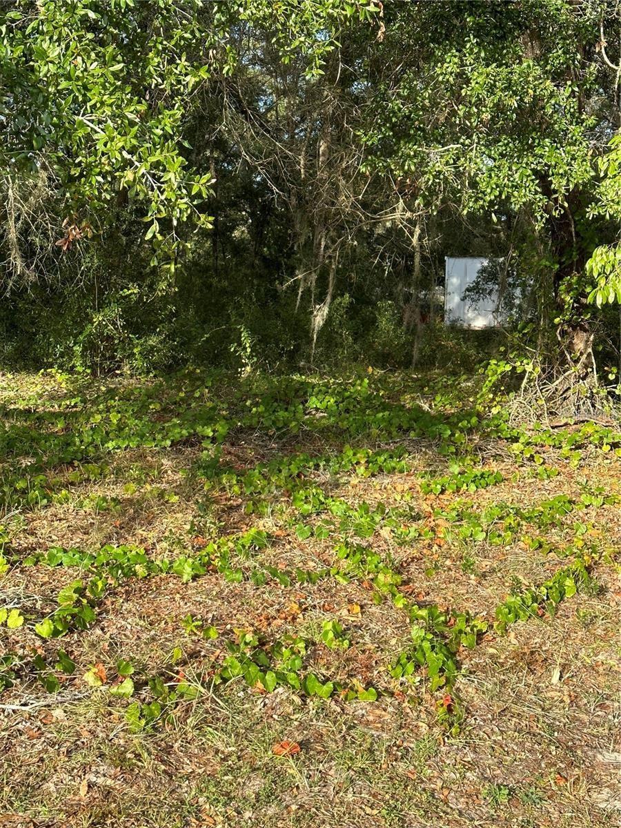 12144 N Gopher Pt Property Photo 6