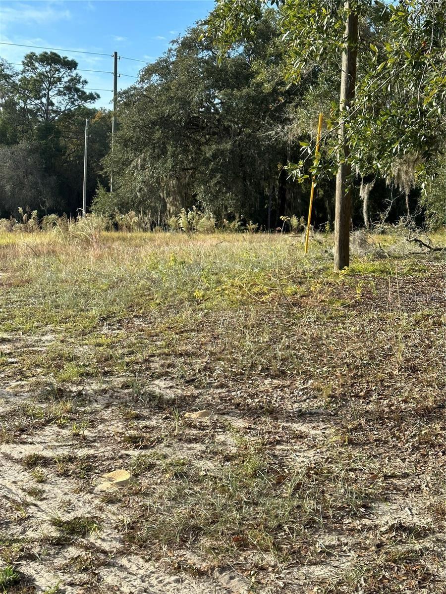 12144 N Gopher Pt Property Photo 7