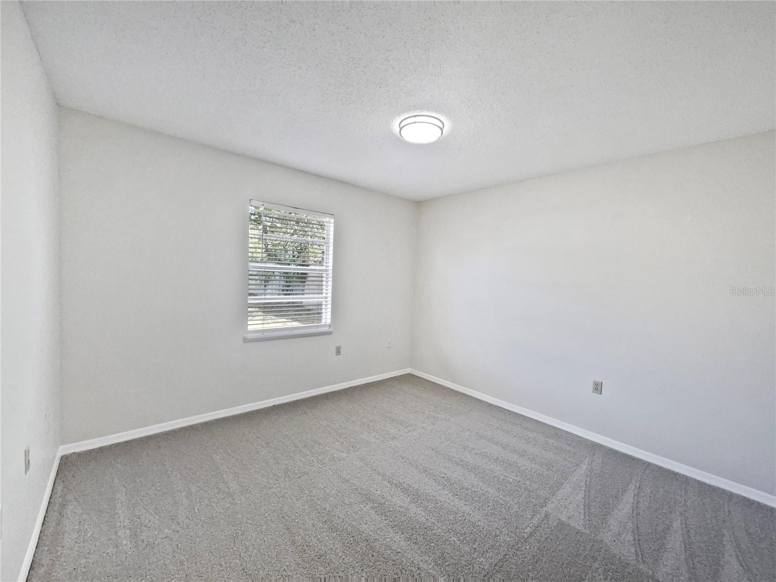 5119 Timber Ridge Trl Property Photo 5