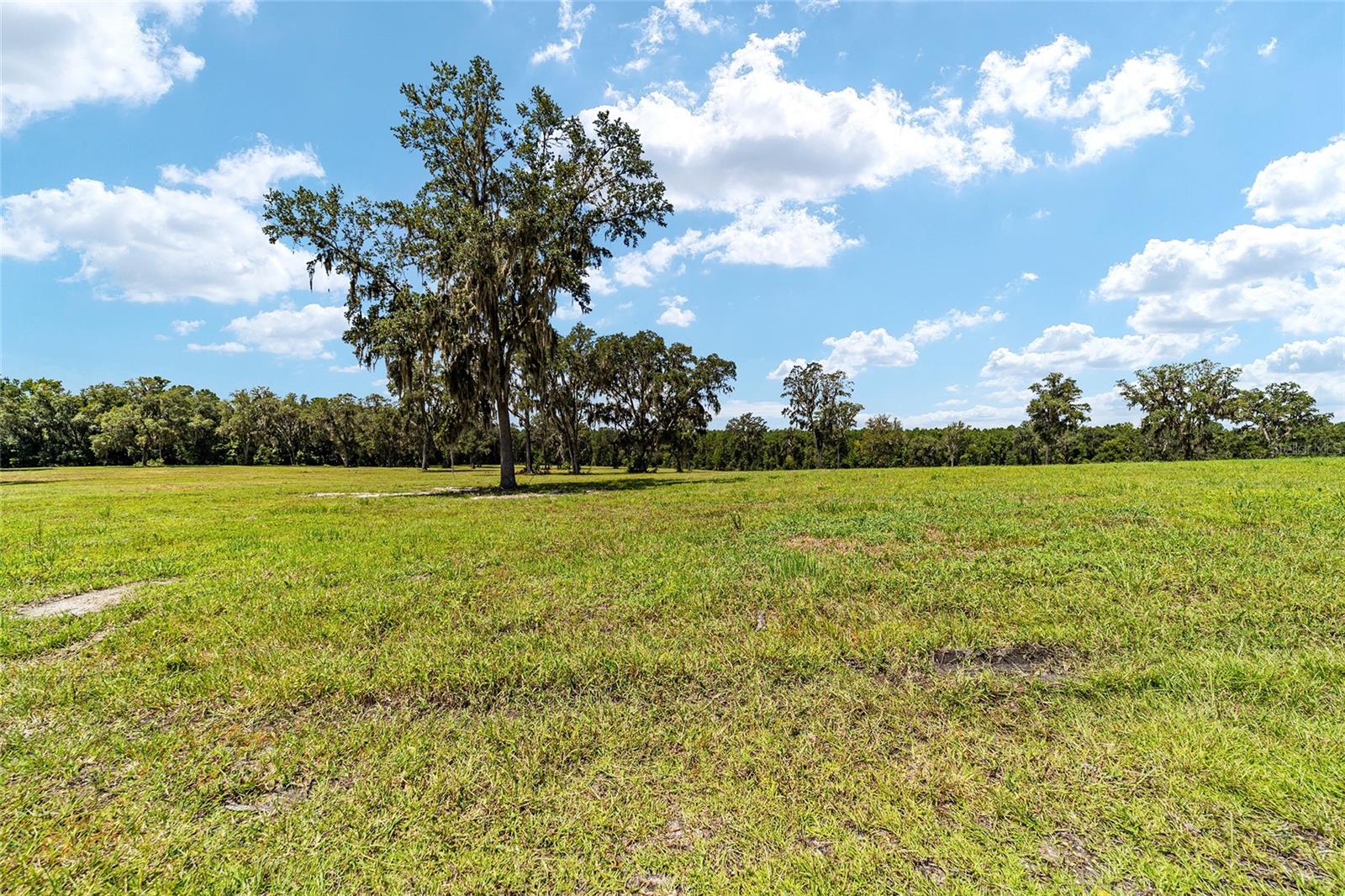 Tbd W 316 Hwy Property Photo 11