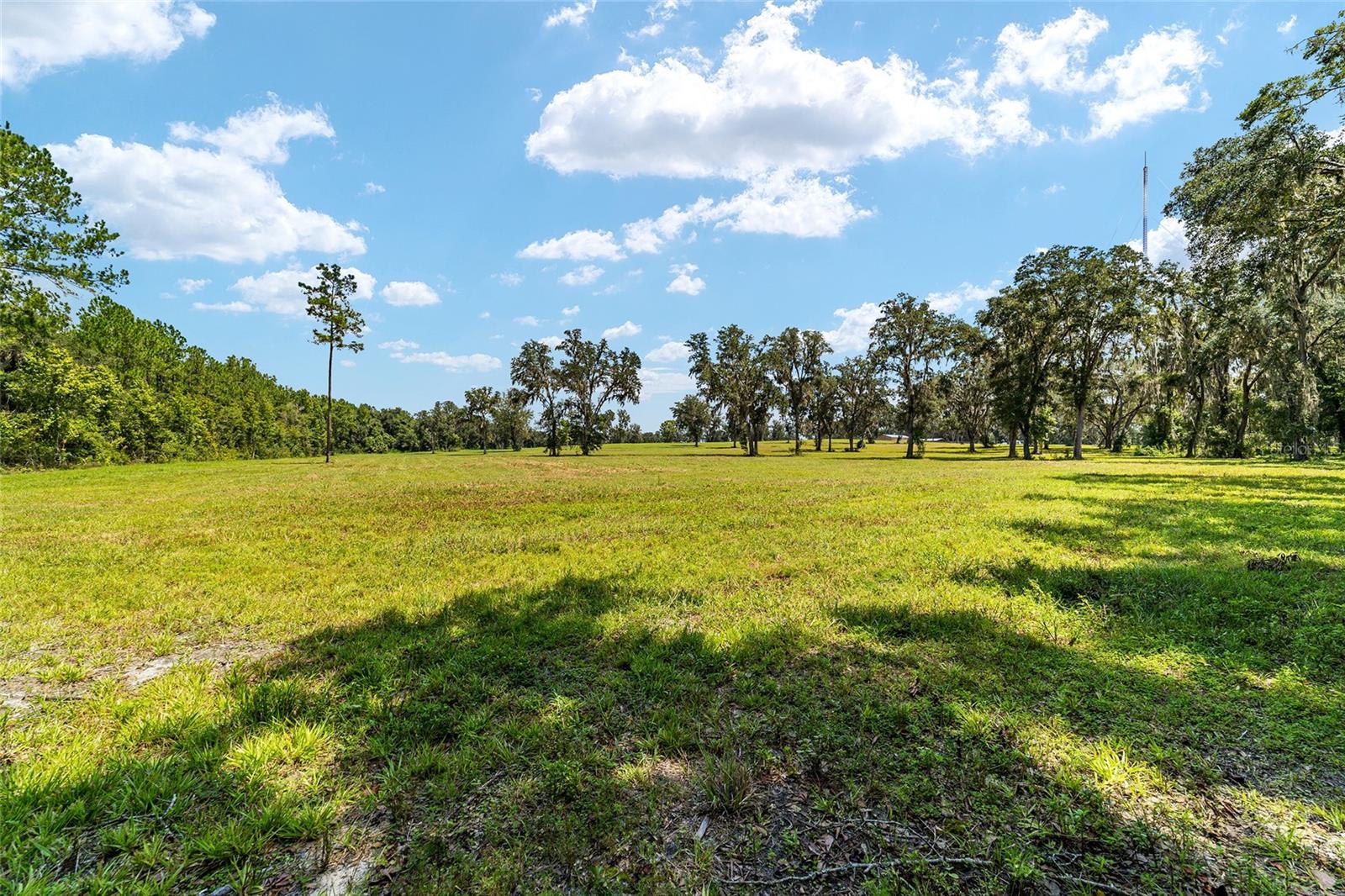 Tbd W 316 Hwy Property Photo 13
