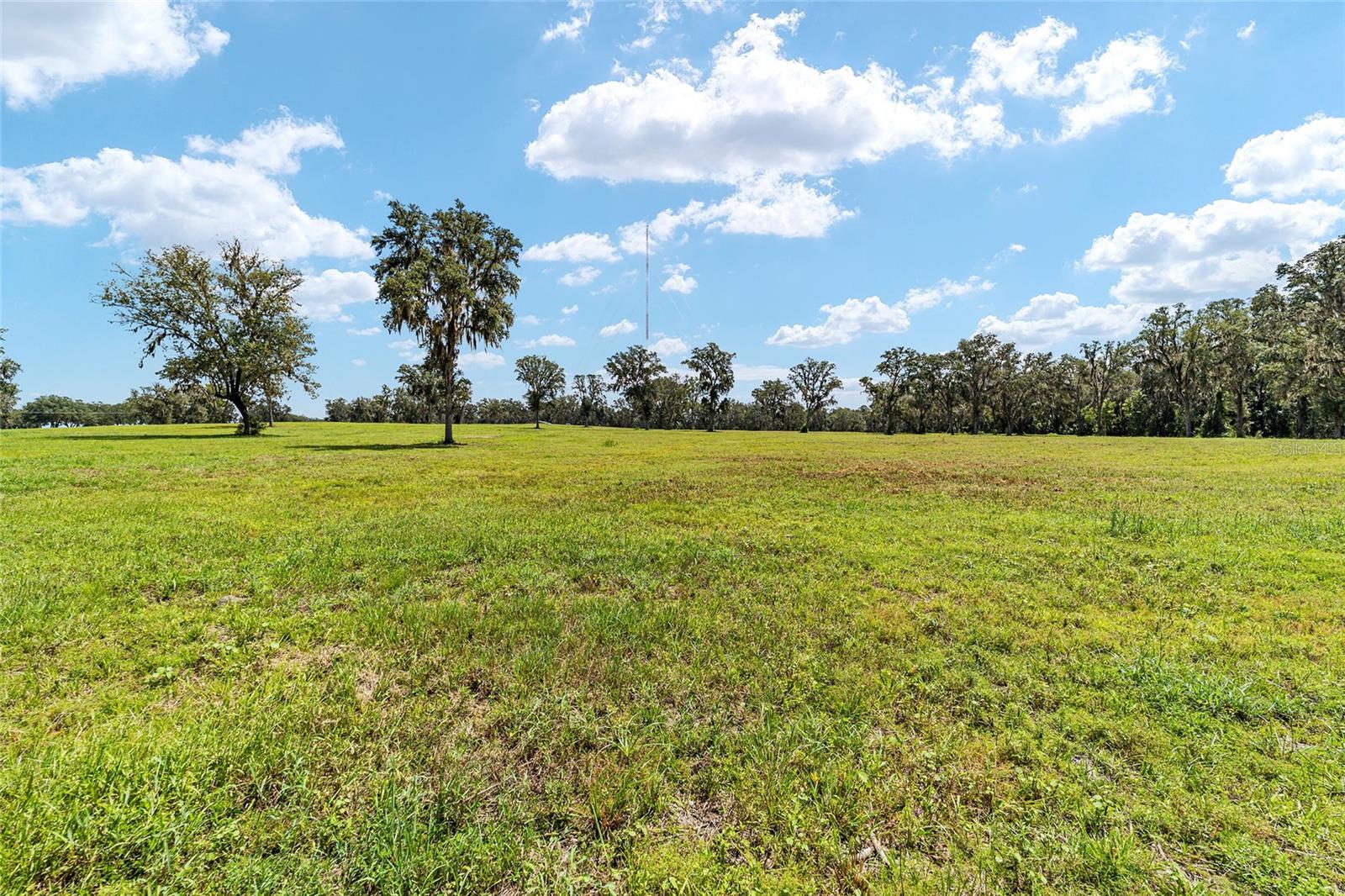 Tbd W 316 Hwy Property Photo 14