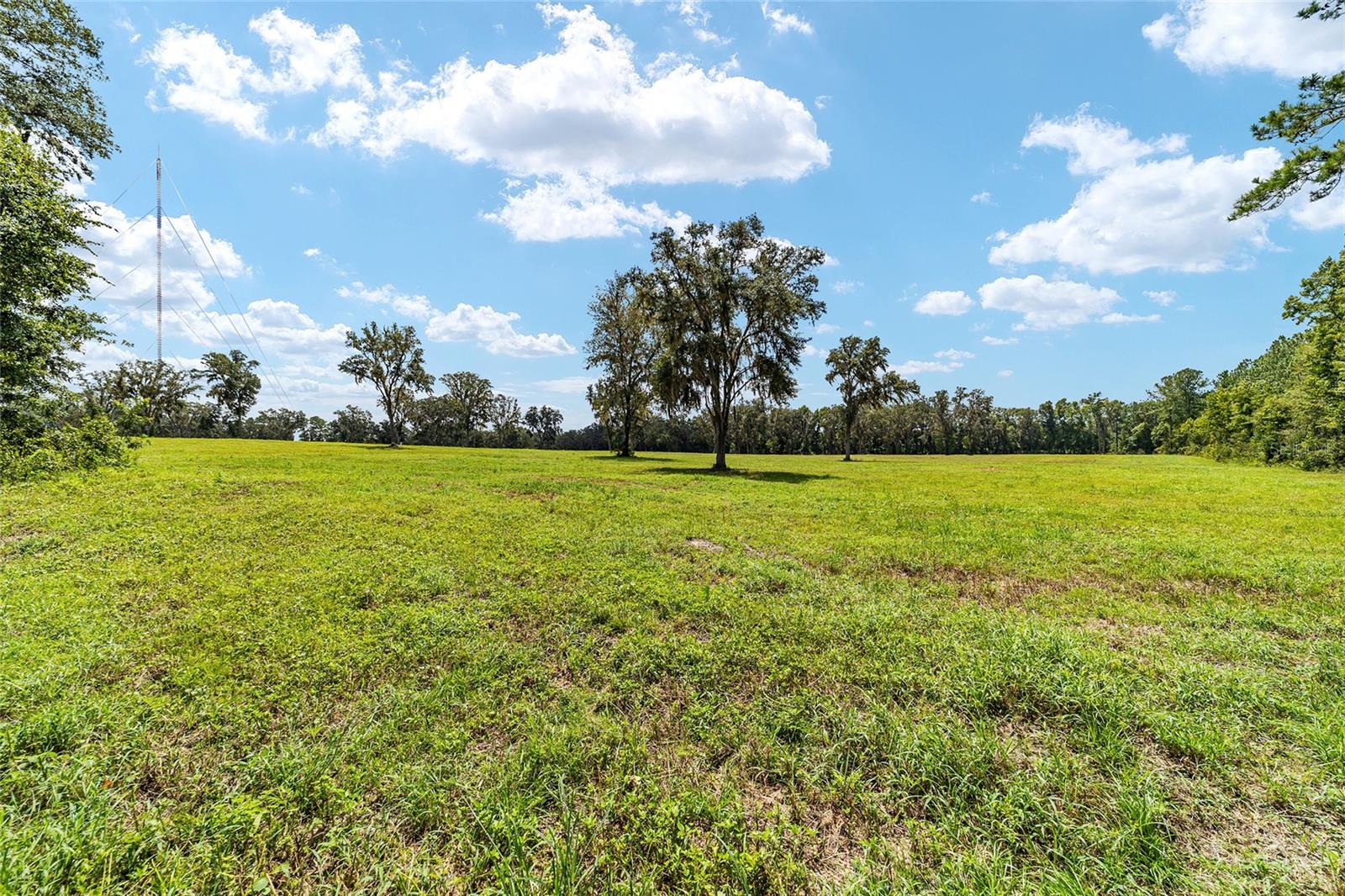 Tbd W 316 Hwy Property Photo 15