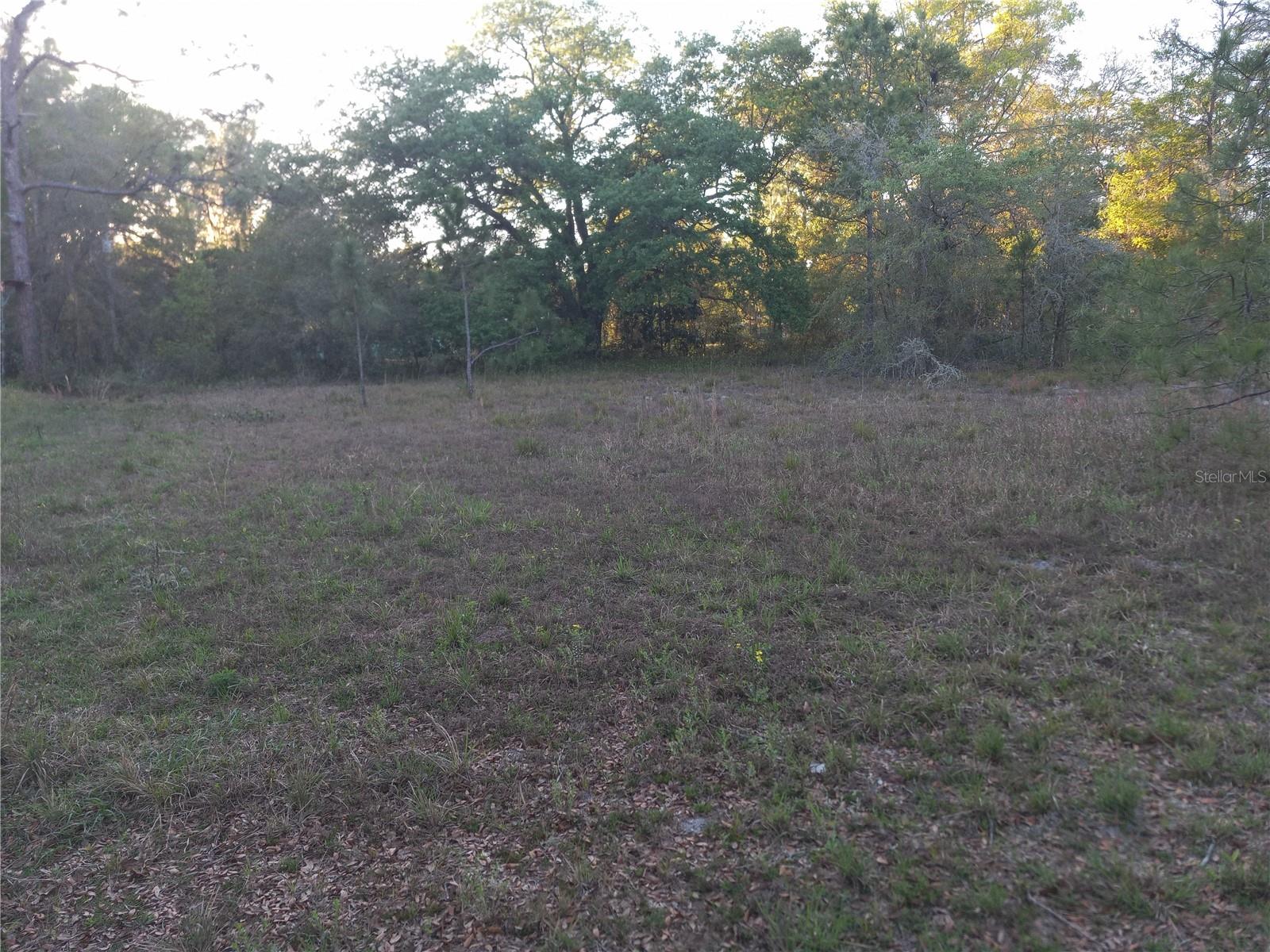 00 Ne 141st Ct Property Photo 1